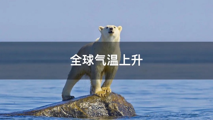 螞蟻商聯(lián)攜手金好來超市發(fā)起“以竹代木，翠我山河”植樹節(jié)活動，從改變生活習(xí)慣開始！喊你為公益接力~